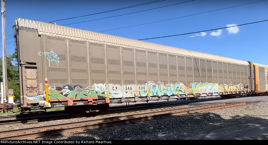 CP 546009